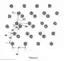 Fig. 05 - Apparatus and method for performing nucleic acid analysis
