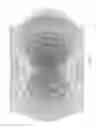 Fig. 27 - Arrays of integrated analytical devices