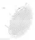 Fig. 01 - Dent mirror