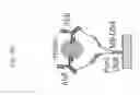 Fig. 15 - ELECTROCHEMICAL PROXIMITY ASSAY