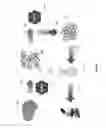 Fig. 02 - MOLECULAR CELL IMAGING USING OPTICAL SPECTROSCOPY