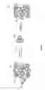 Fig. 03 - MOLECULAR CELL IMAGING USING OPTICAL SPECTROSCOPY
