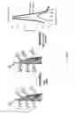 Fig. 13 - Device for capture of particles in a flow