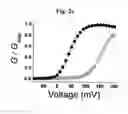 Fig. 07 - SCREENING METHOD FOR ION CHANNEL MODULATORS USING MUTATED BKCA CHANNEL