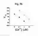 Fig. 09 - SCREENING METHOD FOR ION CHANNEL MODULATORS USING MUTATED BKCA CHANNEL
