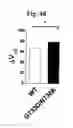 Fig. 14 - SCREENING METHOD FOR ION CHANNEL MODULATORS USING MUTATED BKCA CHANNEL
