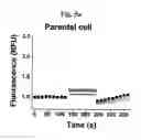 Fig. 15 - SCREENING METHOD FOR ION CHANNEL MODULATORS USING MUTATED BKCA CHANNEL