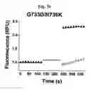 Fig. 17 - SCREENING METHOD FOR ION CHANNEL MODULATORS USING MUTATED BKCA CHANNEL