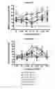 Fig. 04 - Islet1 (ISl1) and hearing loss