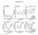 Fig. 05 - Islet1 (ISl1) and hearing loss