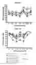 Fig. 06 - Islet1 (ISl1) and hearing loss