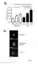 Fig. 09 - METHODS FOR DETECTING INFLAMMATORY DISORDERS