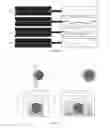 Fig. 04 - Devices for detecting a particle in a sample and methods for use thereof