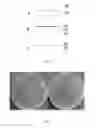 Fig. 03 - Bacteriophage-based biosensor for microbial detection