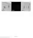 Fig. 09 - Rationale, methods, and assays for identifying human and non-human primate taste specific genes and use thereof in taste modulator and therapeutic screening assays