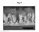 Fig. 07 - Norovirus detection sensor and electrochemical sensing method using the same