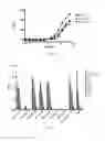 Fig. 04 - Identification and characterization of a peptide affinity reagent for the detection of noroviruses in clinical samples