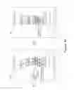 Fig. 17 - Methods of determining patient response by measurement of HER-3 and P95