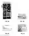 Fig. 04 - NRF2-BASED CANCER TREATMENT AND DETECTION METHODS AND USES