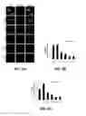 Fig. 05 - NRF2-BASED CANCER TREATMENT AND DETECTION METHODS AND USES