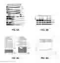 Fig. 06 - NRF2-BASED CANCER TREATMENT AND DETECTION METHODS AND USES