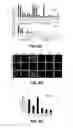 Fig. 09 - NRF2-BASED CANCER TREATMENT AND DETECTION METHODS AND USES