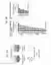 Fig. 22 - Methods for detecting and treating cancer metastasis