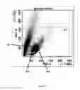 Fig. 03 - BIOMARKER ASSAY