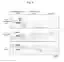Fig. 07 - Method for evaluating atherosclerotic lesion, and kit