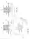 Fig. 07 - Electromagnetic boat speedometer having boundary layer velocity compensation