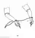 Fig. 02 - Test instrument probe with a pointed tip that is also capable of gripping