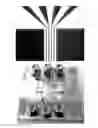 Fig. 01 - Method for the hyperpolarisation of nuclear spin in a diamond via a long-range interaction