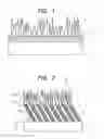Fig. 02 - OPTICAL MEMBER, METHOD OF MANUFACTURING THE SAME, AND OPTICAL SYSTEM USING THE SAME