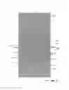 Fig. 11 - Method and system for managing light at an optical interface