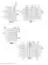 Fig. 03 - Optical fiber assembly