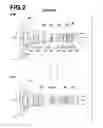 Fig. 03 - Projection zoom lens and projection type display device