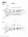 Fig. 08 - Projection zoom lens and projection type display device