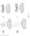 Fig. 35 - Compact, low dispersion, and low aberration adaptive optics scanning system and method