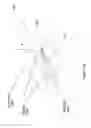 Fig. 33 - Optical configurations for head-worn see-through displays
