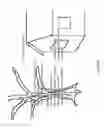 Fig. 71 - Optical configurations for head-worn see-through displays