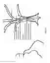 Fig. 72 - Optical configurations for head-worn see-through displays