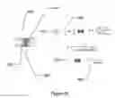 Fig. 08 - Method and apparatus for ophthalmic devices including gradient-indexed and shaped liquid crystal layers