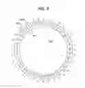 Fig. 11 - LIQUID MENISCUS LENS INCLUDING VARIABLE VOLTAGE ZONES