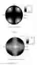 Fig. 06 - Liquid Crystal Display and Optical Compensation Method Therefor
