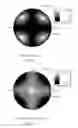 Fig. 08 - Liquid Crystal Display and Optical Compensation Method Therefor