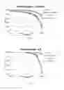 Fig. 08 - ELECTROPHOTOGRAPHIC PRINTING