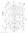 Fig. 14 - Image forming apparatus eliminating static electricity from photoconductor surface