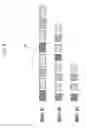 Fig. 09 - Image forming apparatus performing mark data generating processes twice and determining whether difference between two sets of data based on mark data generating processes is within prescribed range
