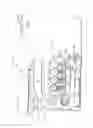 Fig. 03 - IMAGE FORMING DEVICE HAVING RETAINING MEMBER THAT CAN BE PULLED OUT THEREFROM