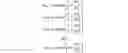 Fig. 41 - Mesh Designs for Touch Sensors